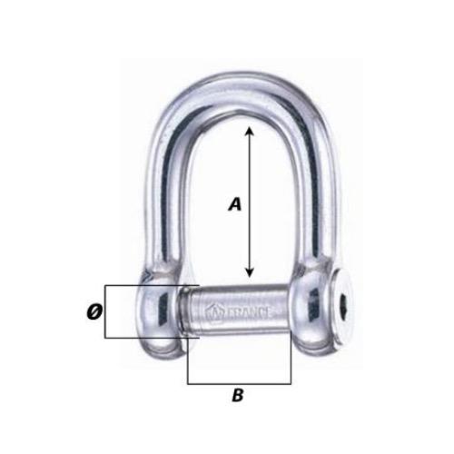 D Shackle Allen Head Pin