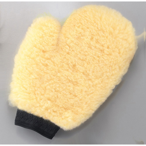 Wash Mitt