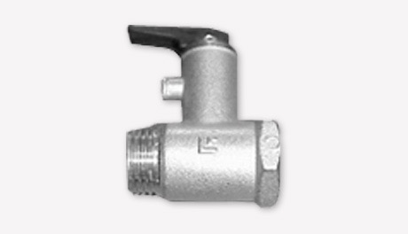 Safety/Non return valve