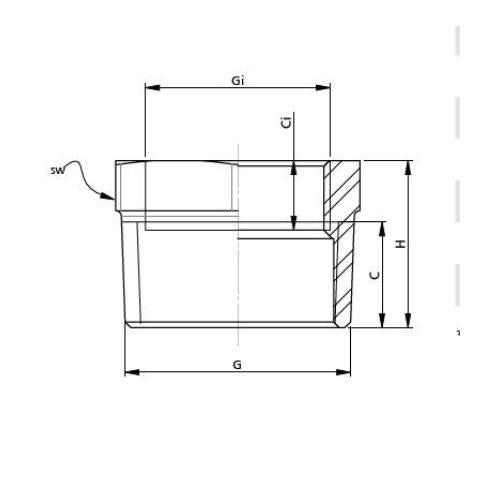 Male-Female End Plug Bushing Hex AISI 316 Stainless Steel