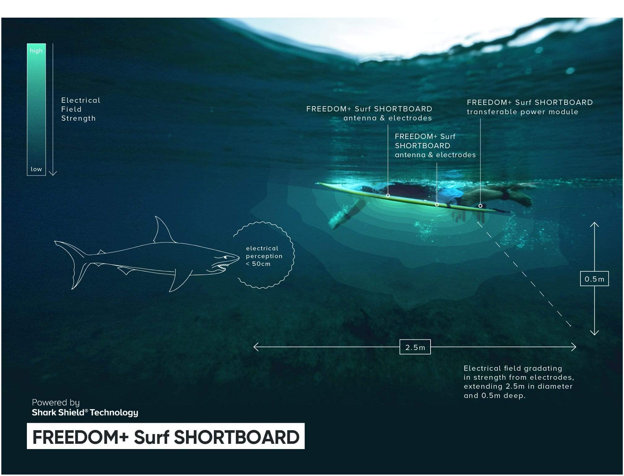 FREEDOM+ Surf - Shortboard