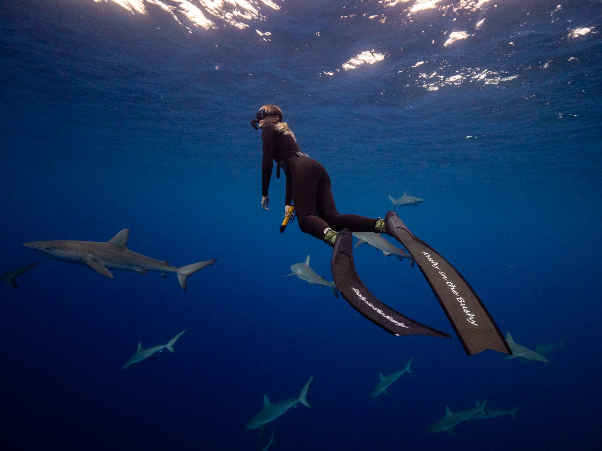 eSpear - Handheld Electrical Shark Deterrent