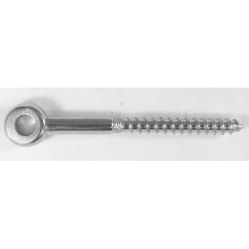 Eye Head Lag Screw - Stainless Steel