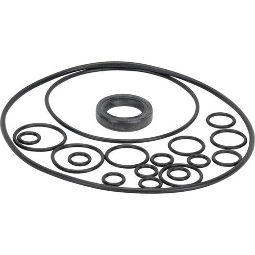 Seal & O Ring Kit 20Cc Pumps
