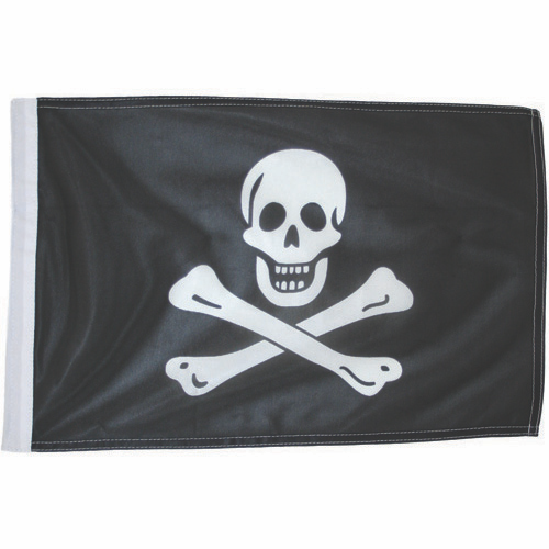 Pirate Flag - 300x450mm