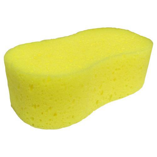 Bone Shaped Sponge