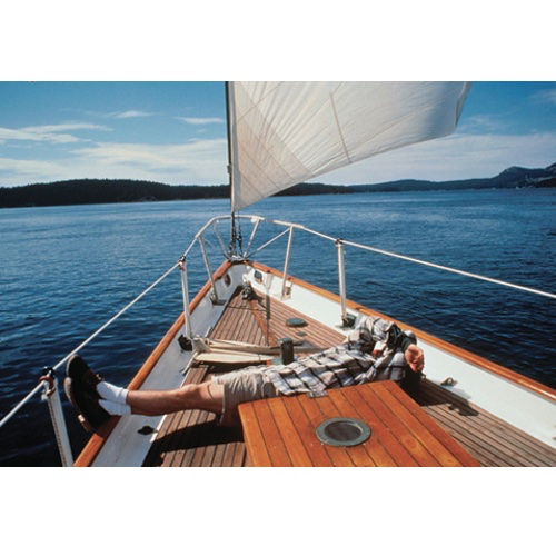 Boat Guard Bird Repeller
